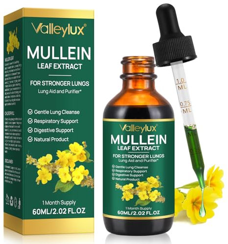 Mullein Tropfen Königskerze Extrakt, 60ml Mullein Leaf Extract Drops, Natürliche Königskerzenblatt Tropfen, Königskerzen Tropfen mit Chlorophyll zur Lungenreinigung, Schnelle Absorption, Vegetarisch