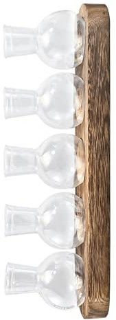 YIZITU Minimalistische Wasser-Anzuchtvasen für den Innenbereich, Hydrokultur-Pflanze, transparenter Behälter, Pflanzgefäß, Büro-Schreibtisch-Dekoration, transparent, Gartenbedarf