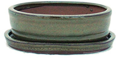 exotenherz - Bonsai-Schale mit Unterteller Gr. 2 - Oliv-Braun - oval - Modell O7 - L 15,5cm - B 12cm - H 4,5cm