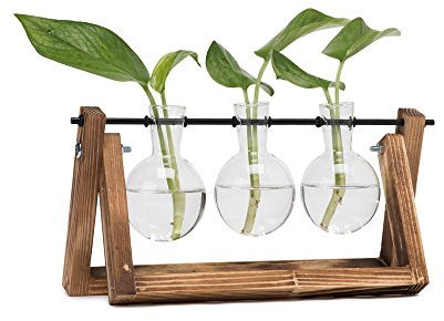 Hyindoor Propagation Station Vermehrungsstation für Pflanzen Hydroponik Blumenvase Glasvase Mit Holzständer Vintage Dekovase Tischvase für Hause Büro Wohnzimmer, 3 Glühbirnen