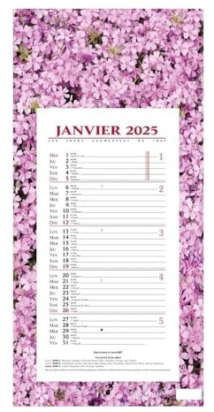 QUO VADIS - 1 Plaque Calendrier Mensuel Long - Motifs Fleurs - Janvier 2026 à Décembre 2026 - Format 16 x 33,3 cm