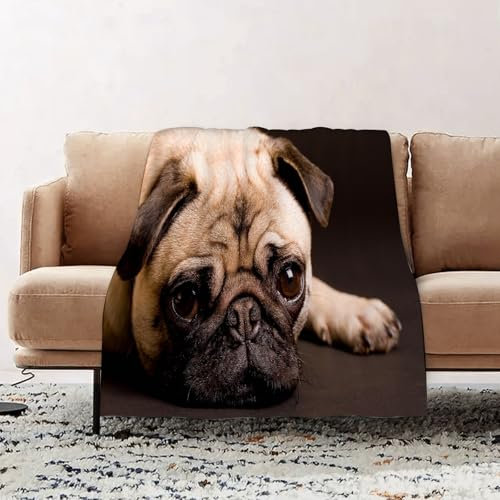 EOMKSE Kuscheldecke Flauschig Decke - weiche warme Fleecedecke 130x150cm als Decke Sofa,Mops, süßes Foto von einem Mops mit seinem,Wohndecke oder Couchdecke überwurf