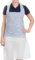 Osler & Walsh Premium-Einwegschürzen für Damen und Herren, 686 x 1170 mm, Polyethylen-Schürzen für Erwachsene, 16 Mikrometer, flach verpackt, Weiß, 100 Stück