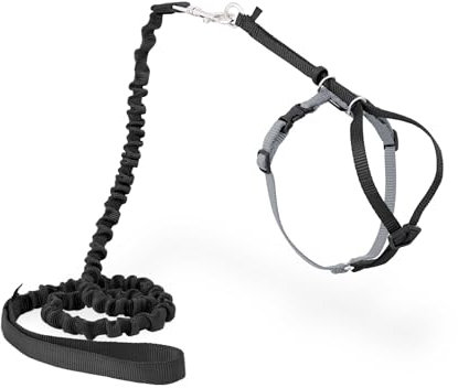 PetSafe Come with Me Kitty Geschirr und Bungee-Leine, Geschirr für Katzen, groß, Schwarz/Silber