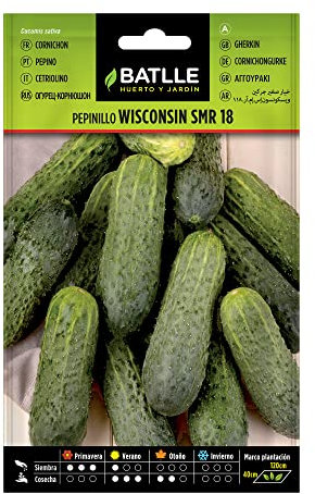 Semi Batlle – Cetriolo