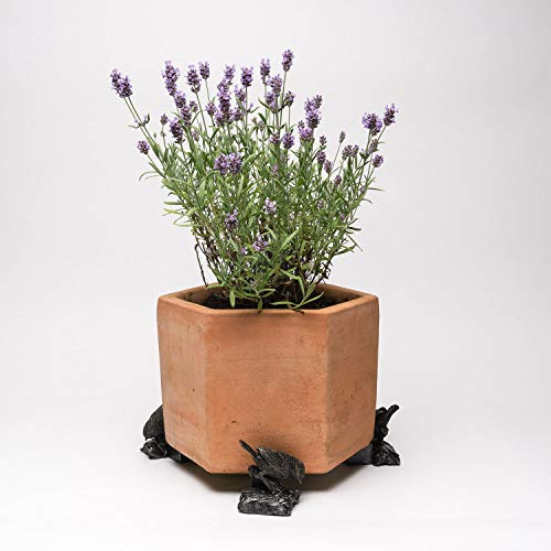 Potty Feet Blaumeise Vogel auf Holzscheit, Blumentopf-Füße, Pflanztopf-Unterstützung, handgefertigte dekorative Ornamente, 3 Stück