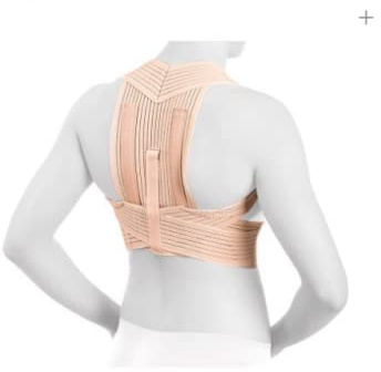 Orliman ACTIUS ESPALDERA REFORZADA T.1