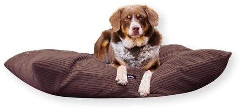 4L Textil Molly Hundebett Hundekissen aus Cord groß | 120x100 cm | Dunkelbraun | Abnehmbarer Bezug | Mit Reißverschluss | Maschinenwaschbar | Robust | Mit Bezug