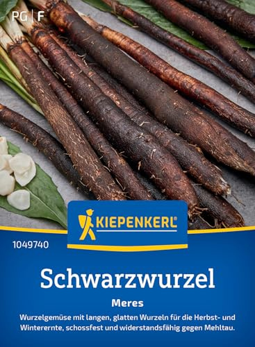 Kiepenkerl Schwarzwurzelsamen Meres 1049740, Gemüsesaat | Frostharte Gemüsesamen für Herbst- und Winterernte, robuste Sorte gegen Mehltau