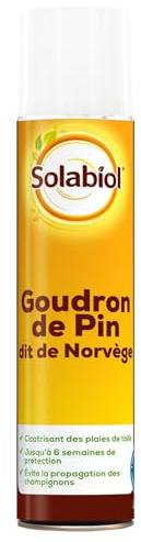 SOLABIOL Goudron de Pin dit de Norvège - Protection Du Jardin - 200g | Protection Contre Les Animaux - Jusqu'à 6 Semaines de Protection - SOGOUDA200