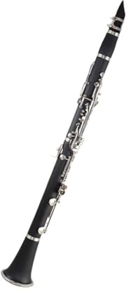 Student klarinette Ebenholzklarinette Als Bühneninstrument Für Bands(2)