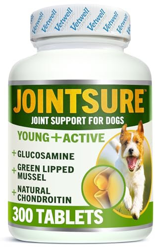 JOINTSURE YOUNG & ACTIVE Joint Supplements for Dogs and Puppies - Pack of 300 Tablets - Supports Mobility and Prevents Joint Stiffness - High Levels of Glucosamine & Green Lipped Mussel