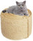 6mm Sisal Corde pour réparation et Remplacement de Chat Scratch Pilier, Rayure Arbre, Chat Rayure Tampon/Tapis/Botteur Jouet, Tuyau/Escaliers/Pneu Emballage, Accueil Décoration, 6mm*100m, Beige