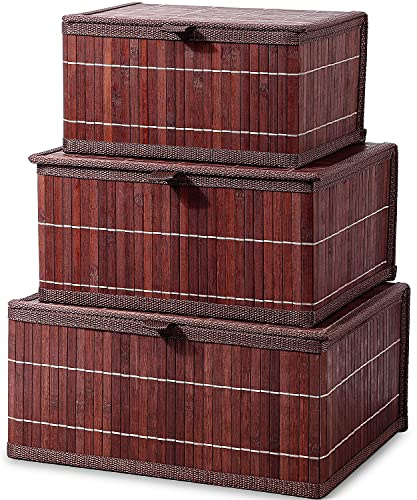 Honygebia Vintage Aufbewahrungskorb mit Deckel - Bambus Braun Aufbewahrungsboxen, 3er Set Rattan Korb mit Deckel Gewebtem Stoffeinsatz für Badezimmer Küche Regal Organisation (Groß/Mittel/Klein)