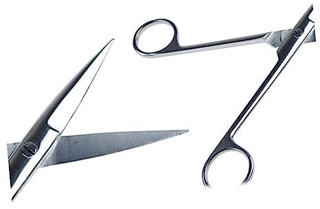 Healeved Forbici Per Modellare I Degli Animali 2 Pezzi Strumenti Per La Toelettatura Del Cane Punte Dritte E Flessibili Comode Da Tenere Impugnatura Per Casa E