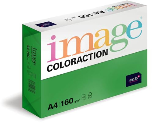 Image Coloraction Dublin - farbiges Kopierpapier - DIN A4, 210 x 297 mm, 160 g/m² - buntes, holzfreies Druckerpapier für Kopierer - 250 Blatt - Dunkelgrün