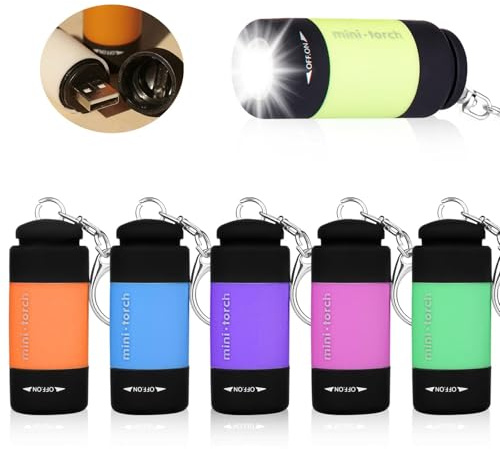 GOMETY Mini lampe de poche LED pour enfants, 6 pièces lampe de poche LED pour enfants rechargeable USB avec porte-clés, IPX8 étanche petite lampe de poche avec porte-clés pour camping en plein air (6)