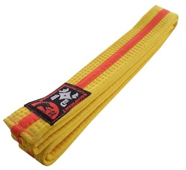 Budodrake Karategürtel gelb-orange-gelb Mittelstreifen Judogürtel Taekwondogürtel