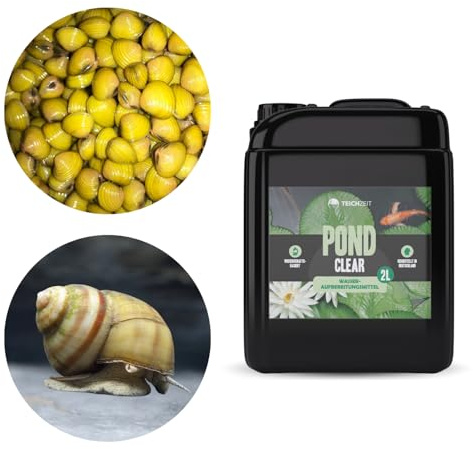 Problemlöser bei trübem Teichwasser | Teichpflege-Set für Gartenteich & Fischteich | 1x Teichzeit Pond Clear, 5X Körbchenmuschel & 5X Sumpfdeckelschnecke