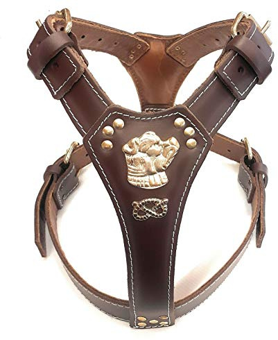 Arnés de cuero marrón chocolate para perro con diseño de cabeza y nudo dorado de Staffordshire Bullterrier