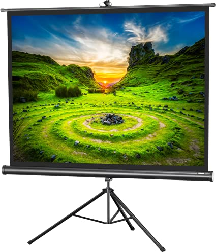 celexon Economy Stativ-Leinwand schwarz 65 | 133x100 cm 4:3 | mobil transportable 4K, Full-HD Beamerleinwand mit manuellem Rollauszug für Heimkino, Büro & Outdoor | inkl. Standfuß + Tragegriff