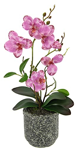 Kunstblume Schmetterling Orchidee mit Blätter und Luftwurzeln im Topf aus Keramik Künstliche Blume Kunstorchidee Phalaenopsis mit Übertopf Kunstpflanze Hochzeit Deko Seidenblume Real Touch Blüte