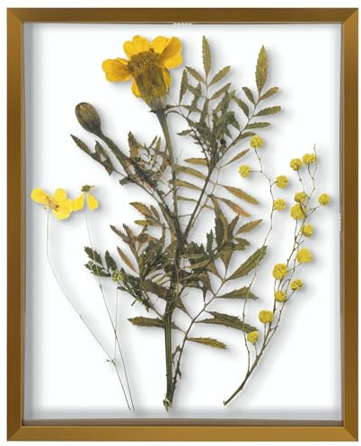 Frametory, Floating Picture Frame 8x10 - Bronze Aluminum Metal Photo Frame - Real Glass of Front - for Wall Mount Displays