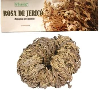 Rosa di Gerico – Pianta della Resurrezione | 100% Naturale | Purificazione e Protezione