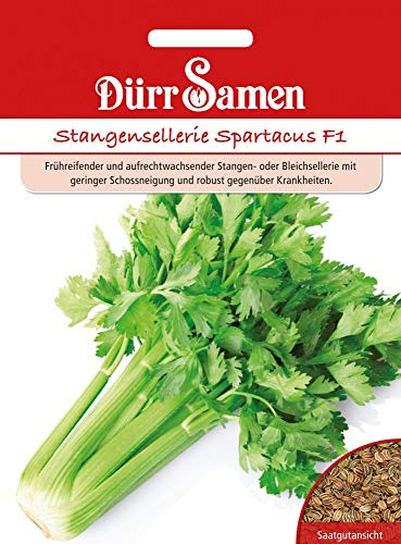Dürr Samen 4154 Stangensellerie Spartacus F1 (Stangenselleriesamen)