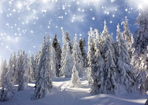 CORFOTO 2.1x1.5m Schneelandschaft Hintergrund Weihnachten Fotografie Hintergrund Schneebedeckte Tannenbäume Winter Schnee Berg Landschaft Hintergrund Weihnachtsdorf Dekor Hintergrund Fotokabine