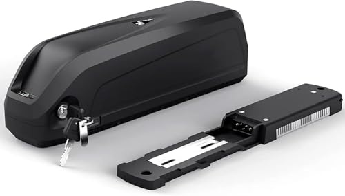 Batería Ebike 48V 25Ah, Batería Bicicleta Electrica 48V Impermeable Batería De Alta Potencia Ebike Batería para Motor 250W- 1000W con Cargador