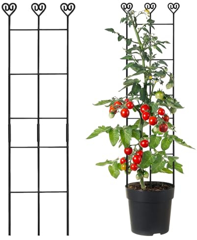 Jeruytgh Graticcio Per Piante - Pioli In Metallo Regolabili E Antiruggine - Graticcio Da Giardino 83 X 20 Cm Per Piante Rampicanti - Adatto A Pothos Viti Filodendro Fiori Clematide Feste Matrimoni