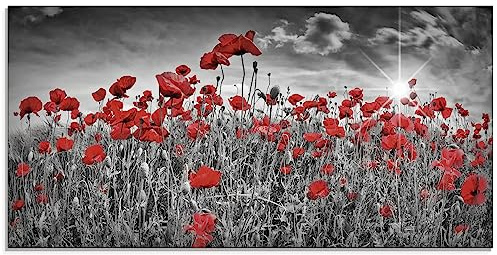 ARTland Wanddeko Glasbilder Wandbild Glas Bild einteilig 100 x 50 cm Pflanzen Blumen Blumenwiese Mohnblume Rot Foto Schwarz Weiß Idyll Sonne S8HV