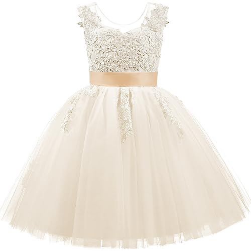 PLWEDDING Spitze V zurück Tüll Blumenmädchen Kleid Junior Mädchen Brautjungfer Hochzeit Partykleider(6,Champagner)