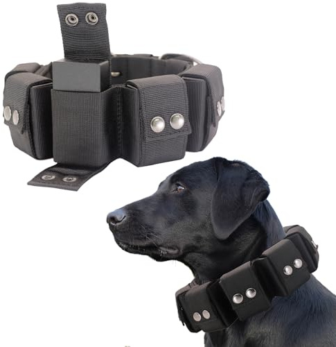 Walktime, Hundehalsband, taktisches Hundehalsband, gewichtetes Hundehalsband mit Gewichten für Hundetrainings- und Trainingsgeräte – freie Gewichte, kleine, mittelgroße und große Hunde