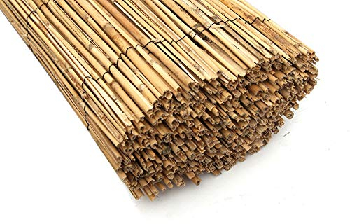 BONERVA | Bambú Natural | Cañizo de Bambú fino para cerramientos y decoración | 2x5 Metros