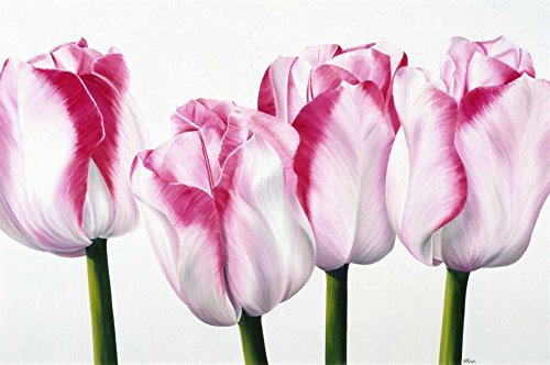 ART-PRINT-on-matt-paper-220gr- Dutch I Poelstra-Holzhaus Yvonne - Europäische horizontale Bild Tulpen Blumen Reihe neu modern weiß rosa Kunstdruck 17_X_26_in