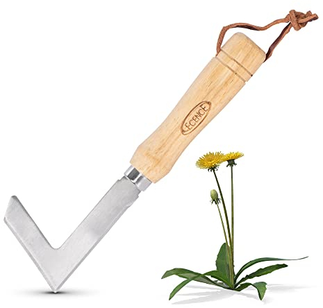 ECENCE Fugenkratzer, Unkrautstecher Edelstahl, Fugenmesser zum Entfernen von Moos & Unkraut, Unkrautkratzer mit Holzgriff, 23cm