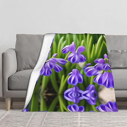 Hyazinthen-Blumen-bedruckte Mikrofaser-Decke, Sofa-Überwurf, Flanell, flauschig, weich, warm, Überwurf, Decken für Bett, Couch, Reisen, 152,4 x 127 cm