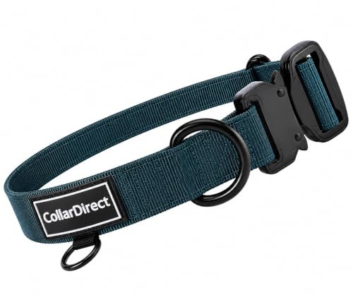 Robustes Hundehalsband für Große & Mittelgroße Hunde – Verstellbar, Doppellagiges Nylon, Metallschnalle, Reißfest & Ideal für Aktive Hunde (Dunkelblau, Mittel (36-51 cm))