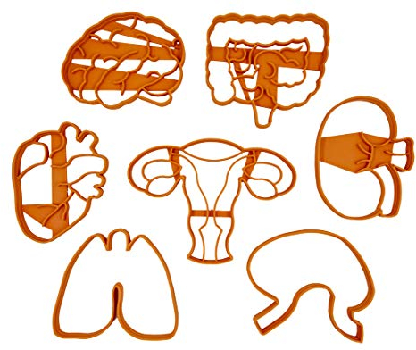 PlasticJewels - Set di 7 Tagliabiscotti formine a forma di organi del corpo umano (cervello, rene, polmoni, intestino, utero, cuore e stomaco)