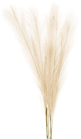 3 Unidades - Pampas Secas Decoración Color Crema - Medida 60 cm, Hierba de Pampa Secas Crema, para arreglos Florales, decoración del hogar, Boho Fiestas Bodas.