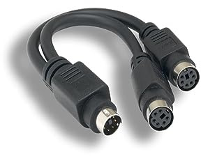 KENTEK 6 Inch in Mini DIN6 MDIN6 Male to 2X Female Extension Splitter Y Cable PS/2 Keyboard Mouse Cord 28 AWG Molded 6 Pin M/Fx2 for PC Mac Linux