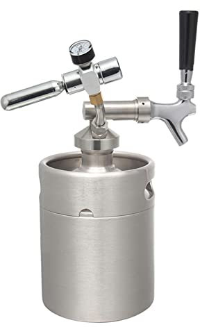YJSG Portable Draft Keg System Stainless Steel Keg Mini Keg Draft System Stainless Steel Portable Mini Keg Dispenser Pressure Regulator Craft Beer Draft Home brew,2L 67 OZ