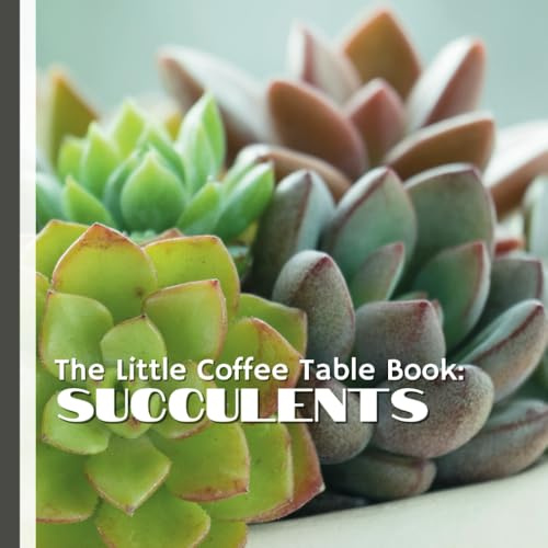 The Little Coffee Table Book: Succulents: Learn the secrets to thriving plants, uncover creative display ideas, and explore how succulents have inspired cultures worldwide.