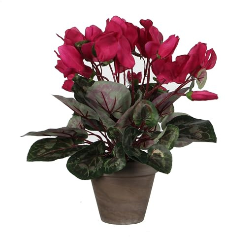 MICA Decorations 947229 Fleurs, Cyclamen, Rose
