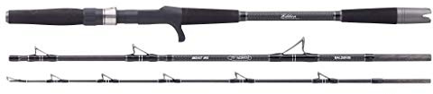 Balzer 71 Grad North Boat Inliner 15-25lbs 1,95m 150-400g Reiserute