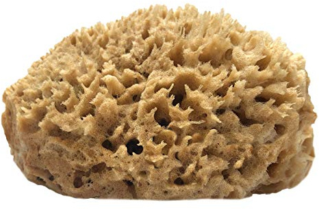 Half Natural Sea Sponge with Flat Side for Painting, Artists, Decorating, Texturing, Sponging, Marbling, Faux Finishes, Crafts & More - Strong and Durable - 100% Natural & Organic - Hypoallergenic