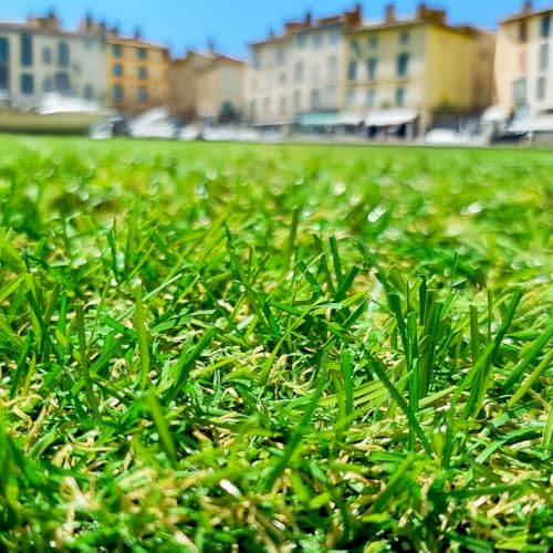 Gazon Synthétique 22mm en 2m de large (2m de large x 20m de long)