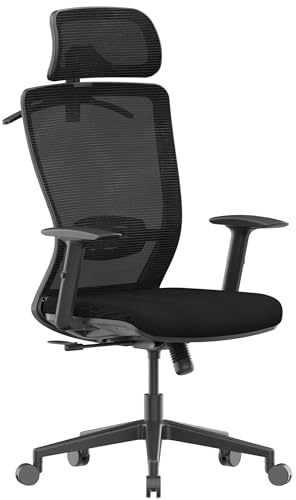 FLEXISPOT Ergonomic Office Chair, High Back Home Office Desk Chairs with Adjustable Lumbar Support, Armrests,90-130° Tilt Lock, Comfort Wide Cushion, Swivel Computer Gaming Chairs for Adults (Black)